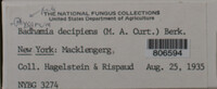 Image Associated With the Occurence